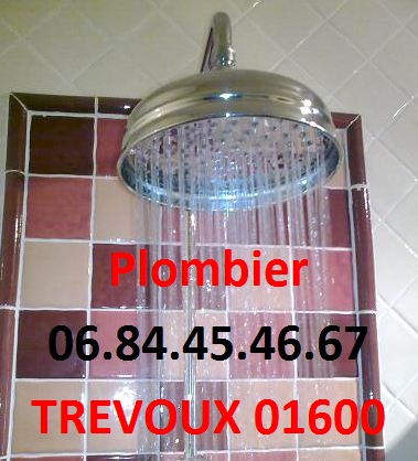 Plombier Trévoux changement robinet douche; Plombier dépannage robinet Trévoux 1